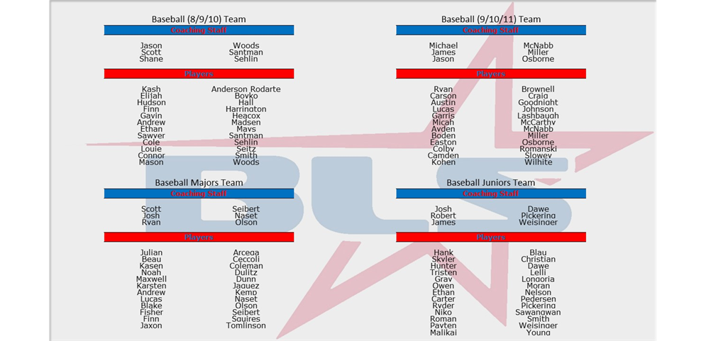 2023 Baseball All Star Teams