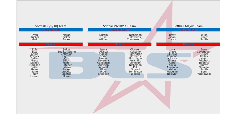 2023 Softball All Star Teams